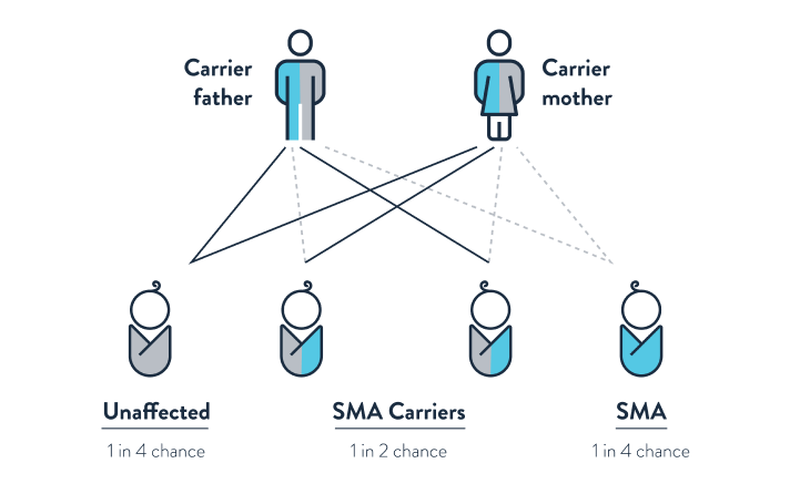 The role of genetics in SMA